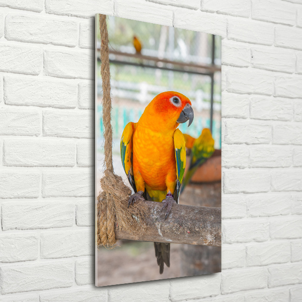 Printed glass wall art Parrot