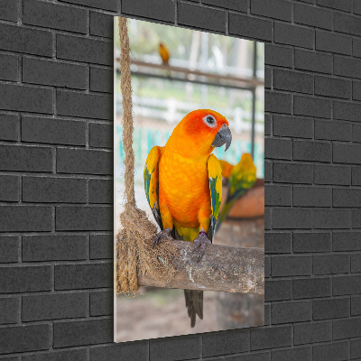 Printed glass wall art Parrot