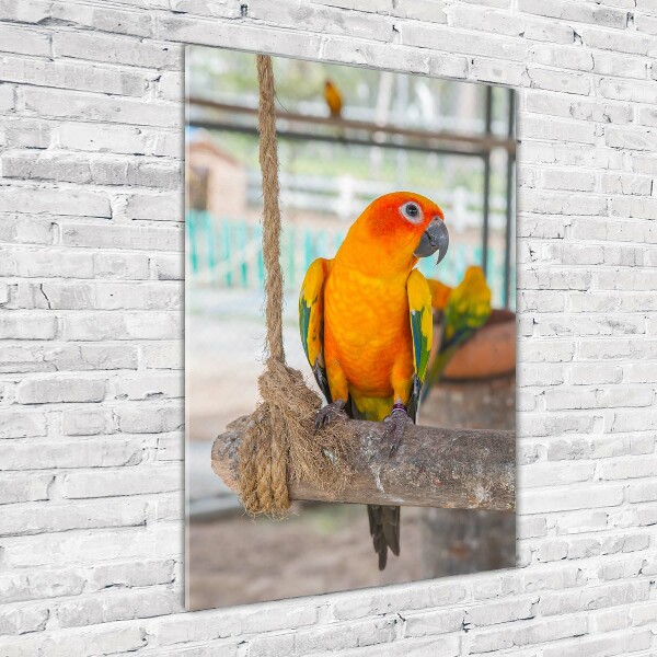 Printed glass wall art Parrot