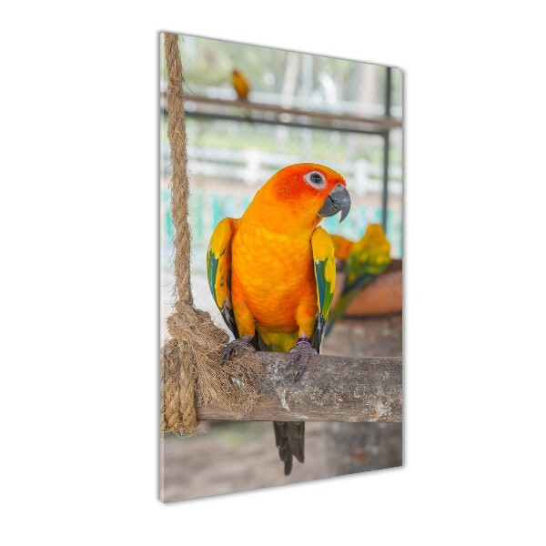 Printed glass wall art Parrot