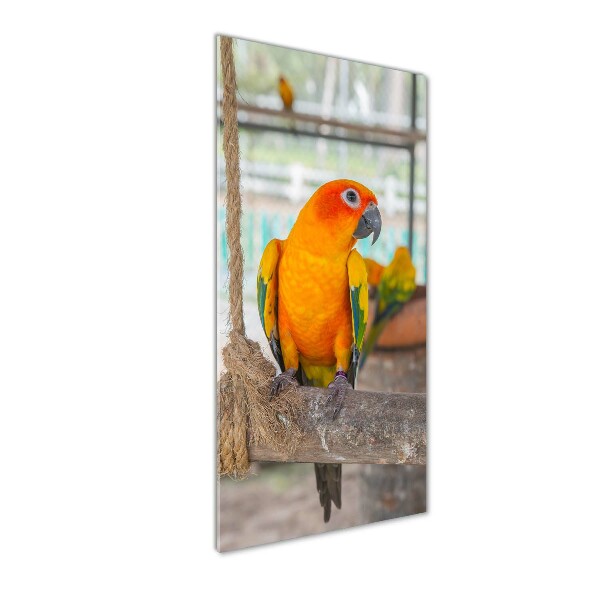 Printed glass wall art Parrot