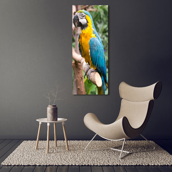 Photo printed on glass Ara parrot