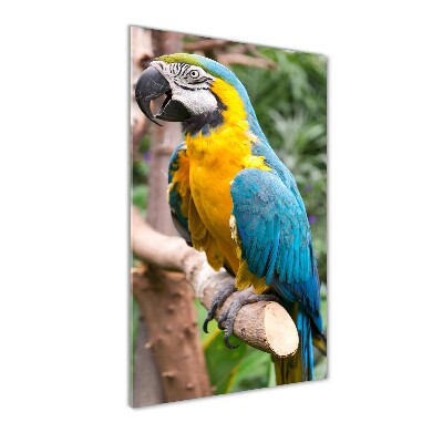 Photo printed on glass Ara parrot