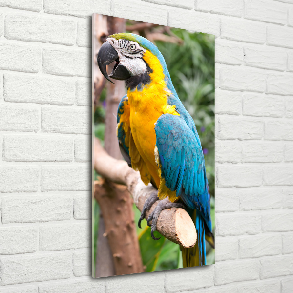 Photo printed on glass Ara parrot