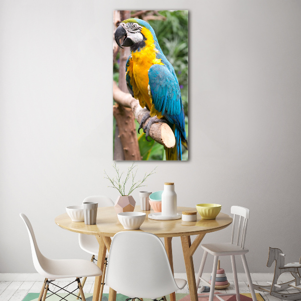 Photo printed on glass Ara parrot