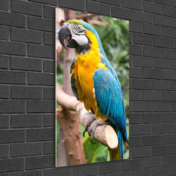 Photo printed on glass Ara parrot