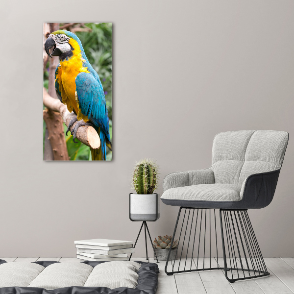 Photo printed on glass Ara parrot