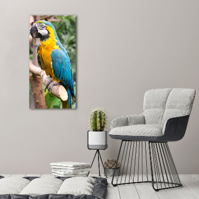 Photo printed on glass Ara parrot