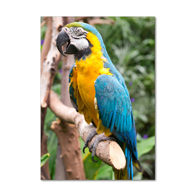 Photo printed on glass Ara parrot