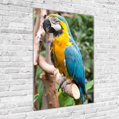 Photo printed on glass Ara parrot