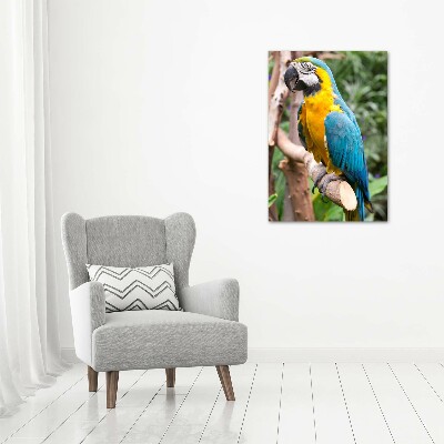 Photo printed on glass Ara parrot