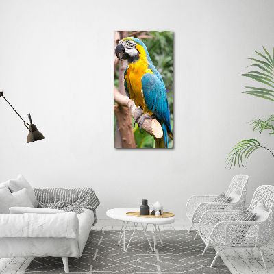 Photo printed on glass Ara parrot