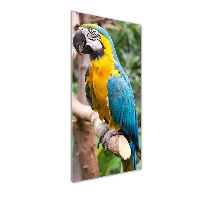 Photo printed on glass Ara parrot