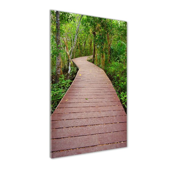 Glass wall art Path in the jungle