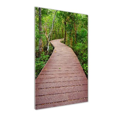 Glass wall art Path in the jungle