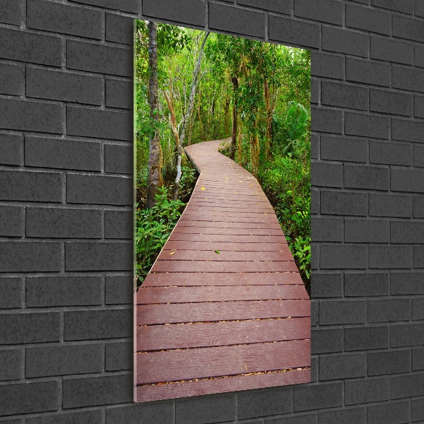 Glass wall art Path in the jungle