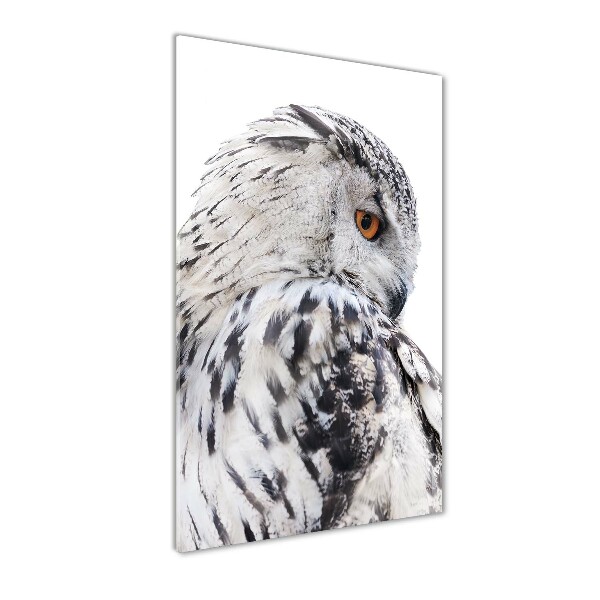 Photo printed on glass White owl