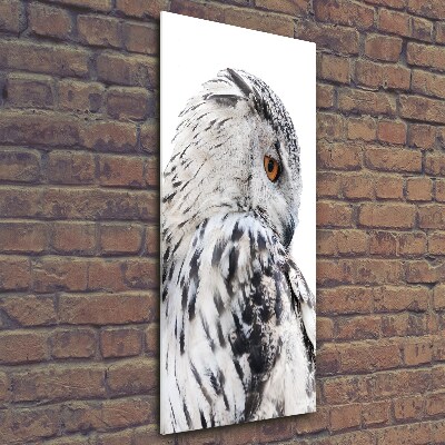 Photo printed on glass White owl