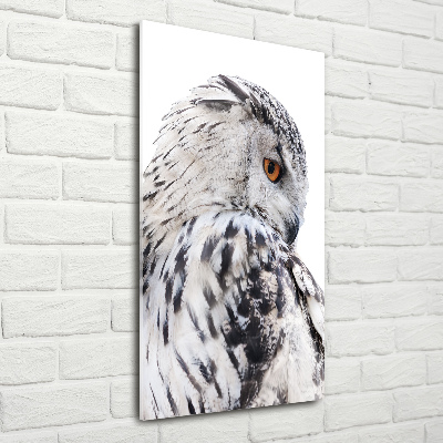 Photo printed on glass White owl