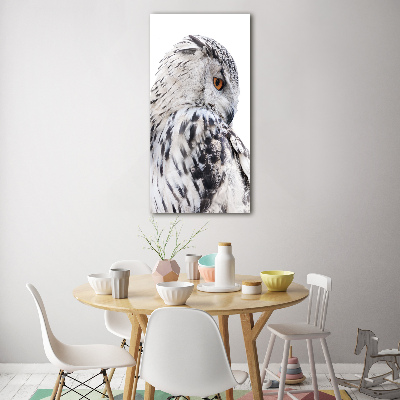 Photo printed on glass White owl