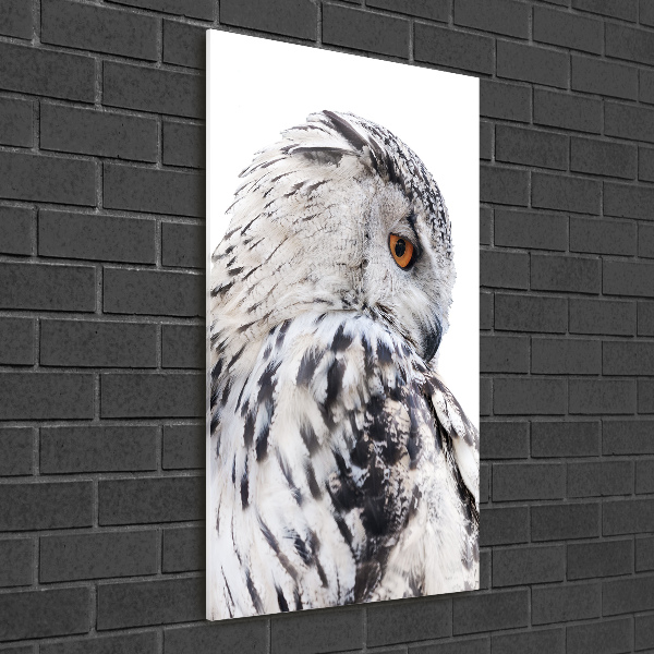 Photo printed on glass White owl