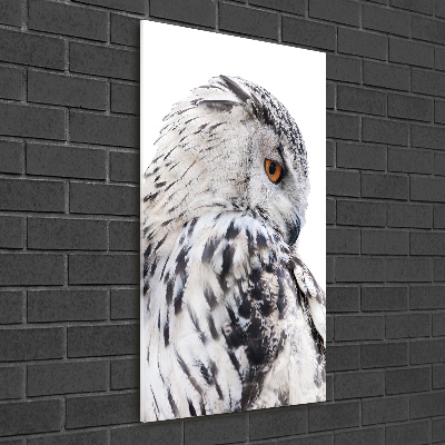 Photo printed on glass White owl