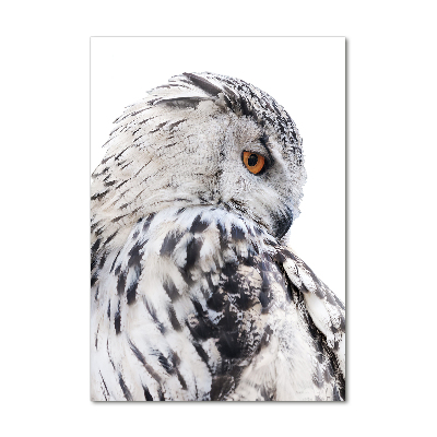 Photo printed on glass White owl