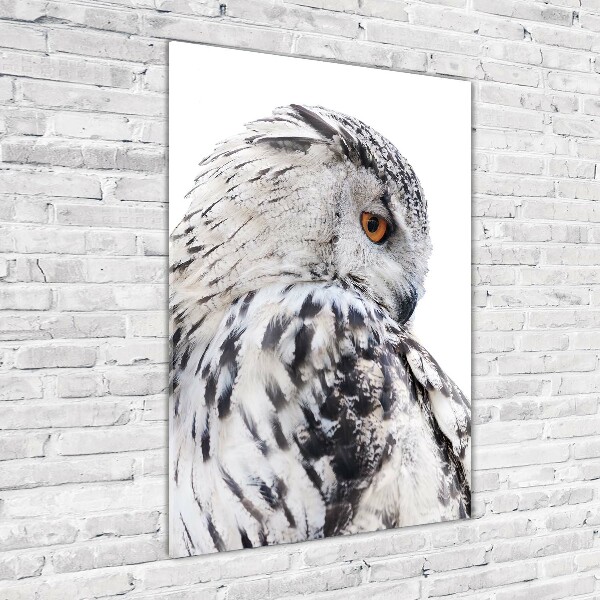 Photo printed on glass White owl