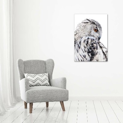 Photo printed on glass White owl