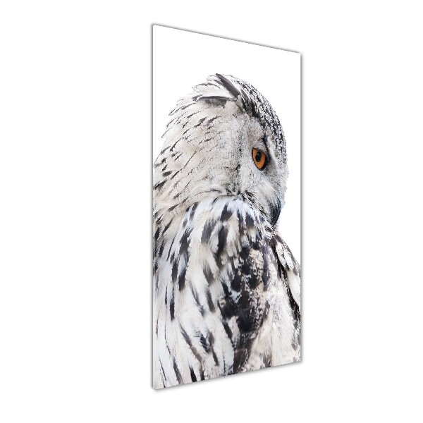 Photo printed on glass White owl