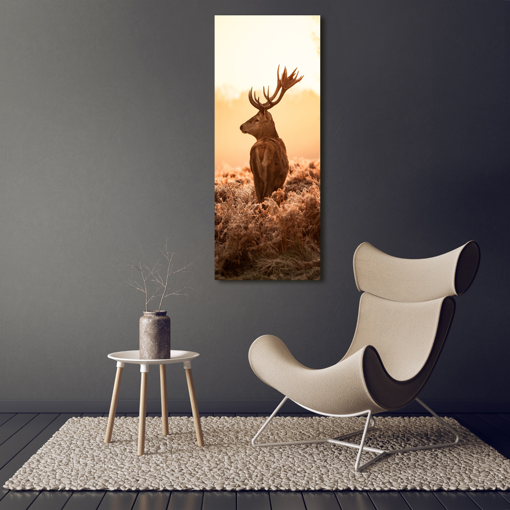 Photo printed on glass Deer sunrise