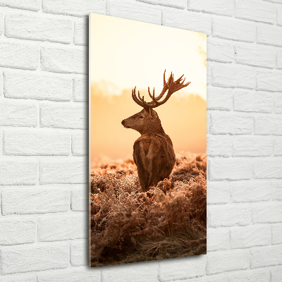 Photo printed on glass Deer sunrise