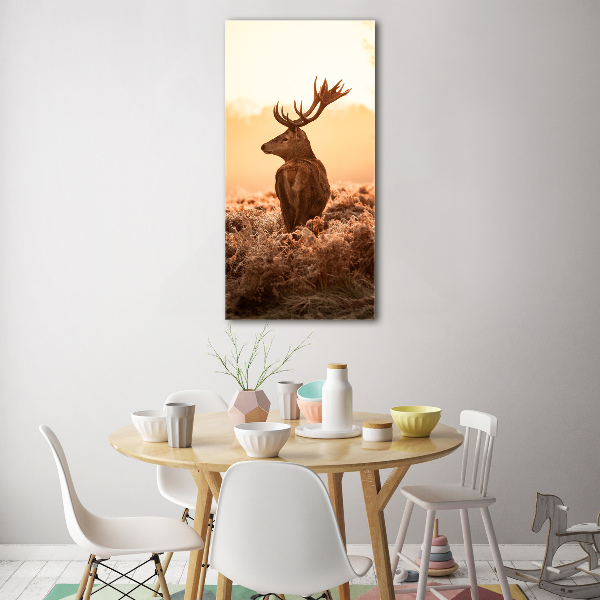 Photo printed on glass Deer sunrise