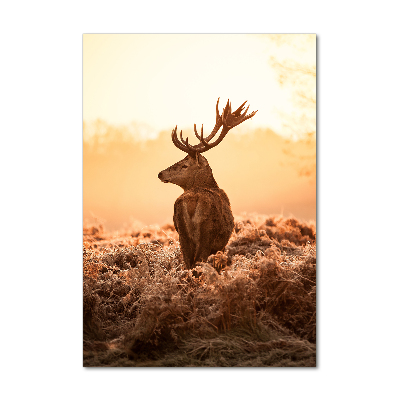 Photo printed on glass Deer sunrise