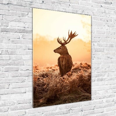 Photo printed on glass Deer sunrise