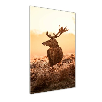 Photo printed on glass Deer sunrise