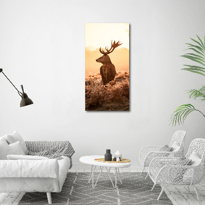 Photo printed on glass Deer sunrise