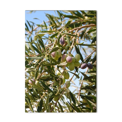 Glass wall art Olives on a tree