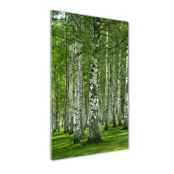 Print on a a glass Birch forest