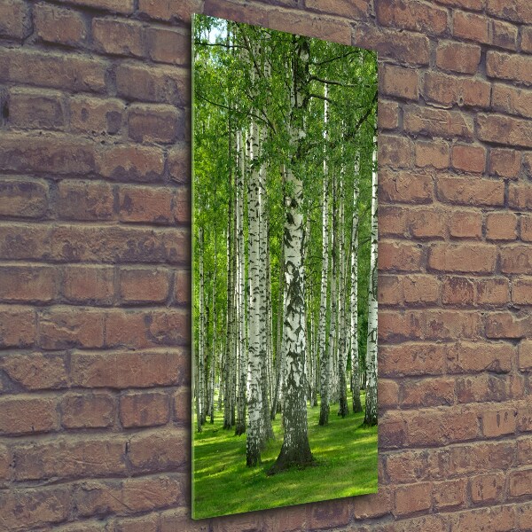 Print on a a glass Birch forest