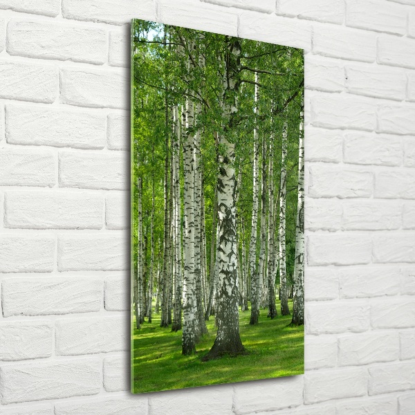 Print on a a glass Birch forest