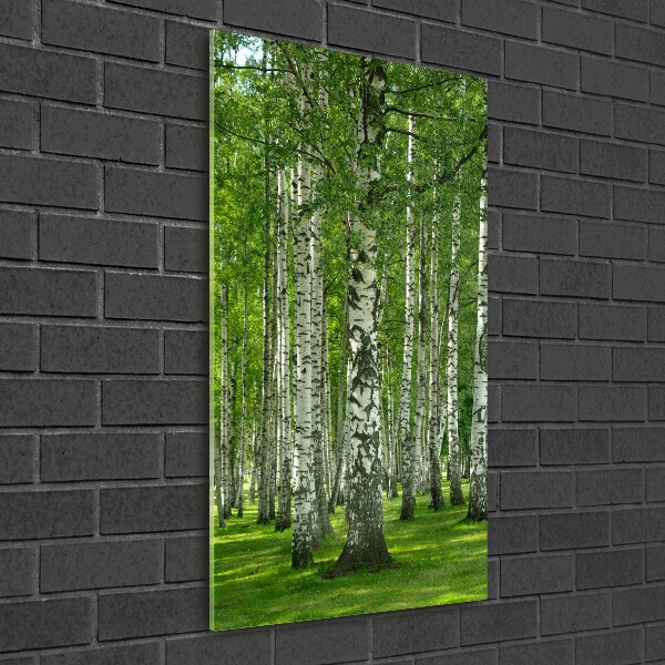 Print on a a glass Birch forest