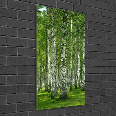 Print on a a glass Birch forest