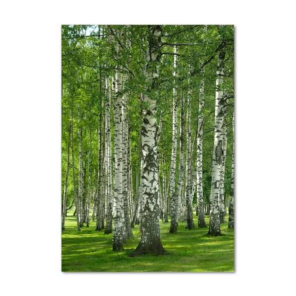 Print on a a glass Birch forest