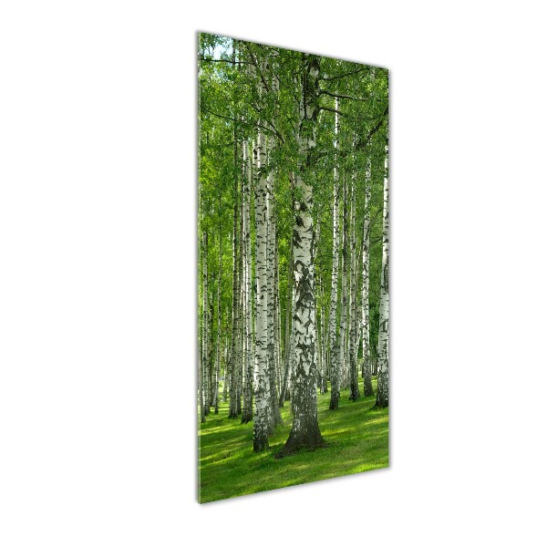 Print on a a glass Birch forest