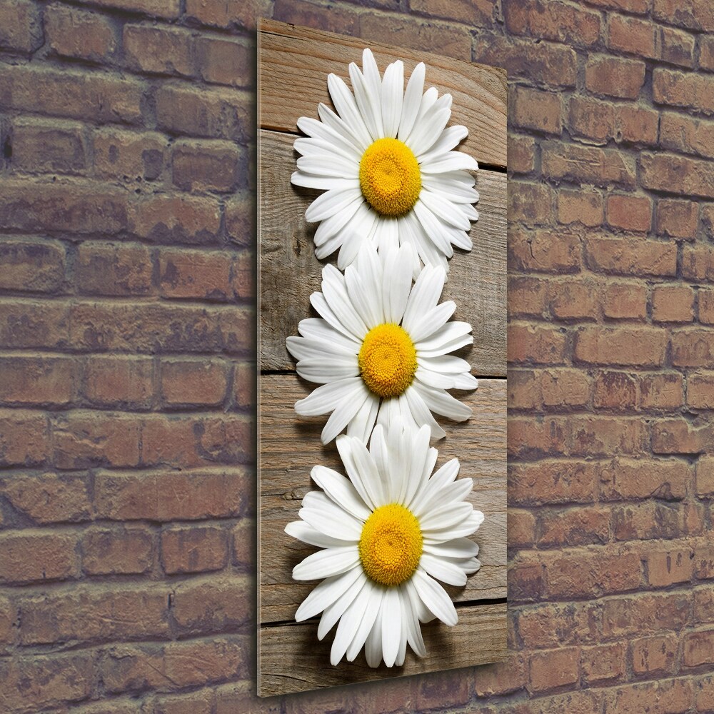 Wall art on glass Chamomile on wood