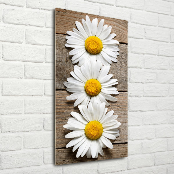 Wall art on glass Chamomile on wood