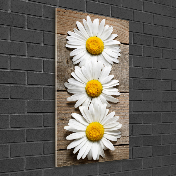 Wall art on glass Chamomile on wood