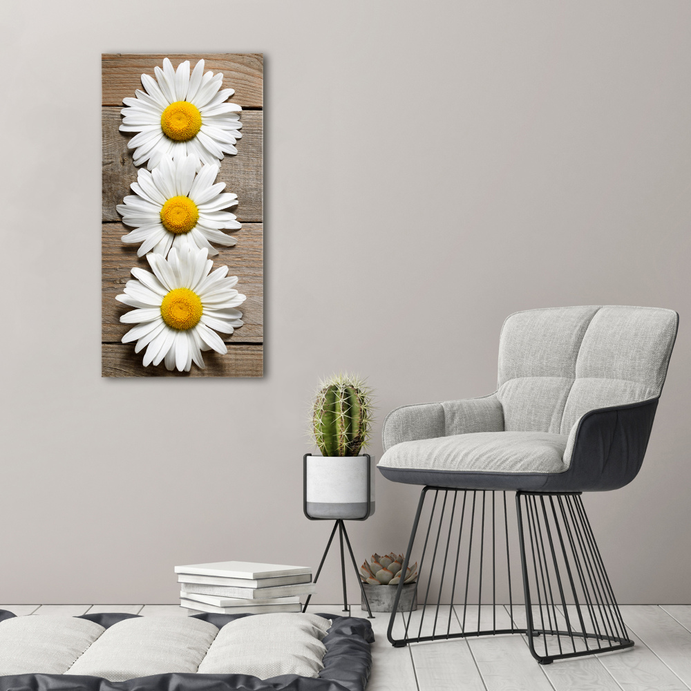 Wall art on glass Chamomile on wood