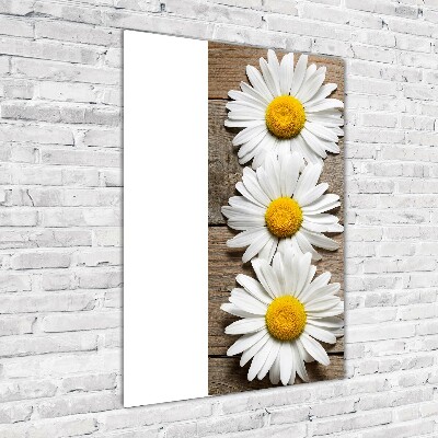 Wall art on glass Chamomile on wood